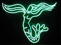 1. Sirena turquiose neon