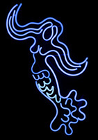 2.Blue Sirena Neon